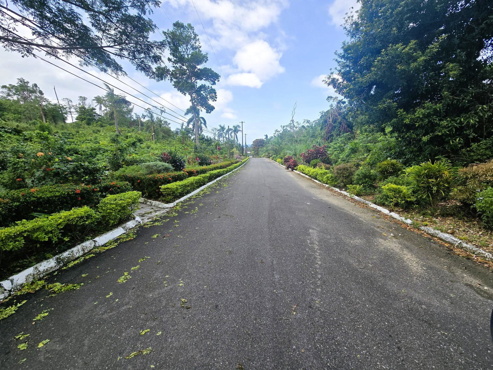 Third image of Lot 27 Ophelia View, Roystonea in Tower Isle, St. Mary, Jamaica - property is For Sale