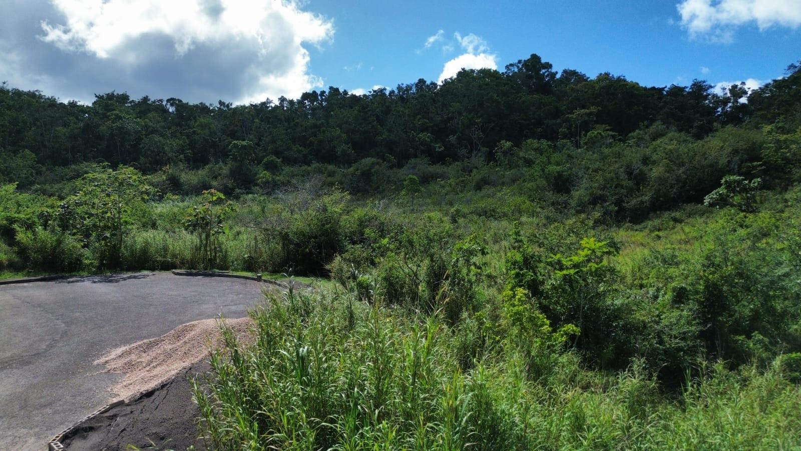First image of Moorlands Estate in Mooreland, Manchester, Jamaica - property is For Sale