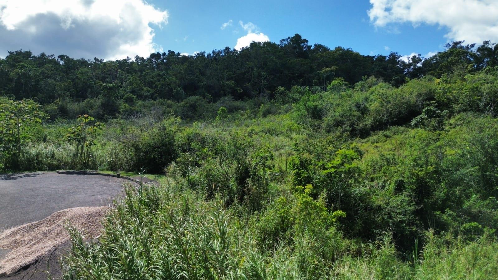 Second image of Moorlands Estate in Mooreland, Manchester, Jamaica - property is For Sale