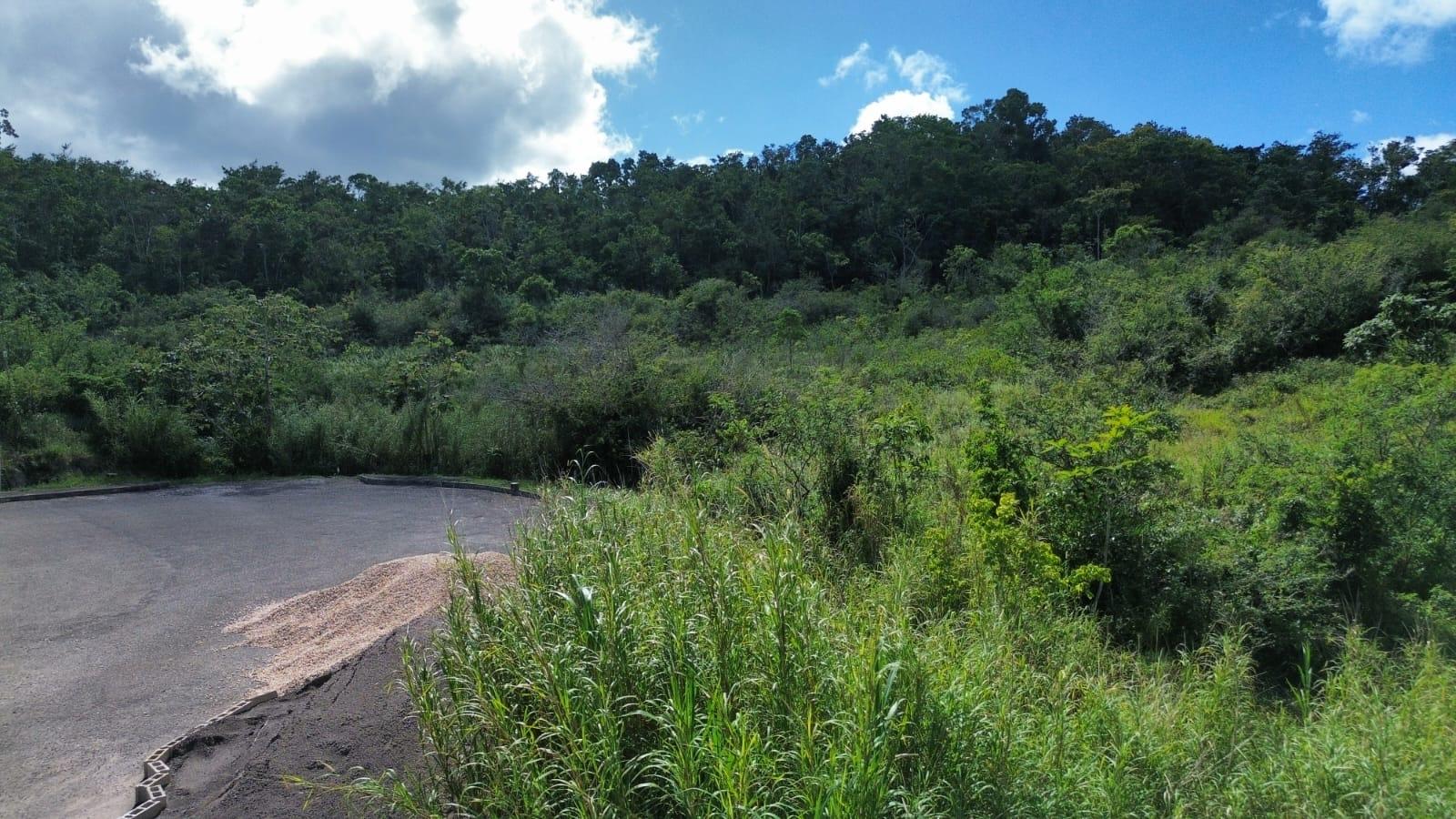 Third image of Moorlands Estate in Mooreland, Manchester, Jamaica - property is For Sale