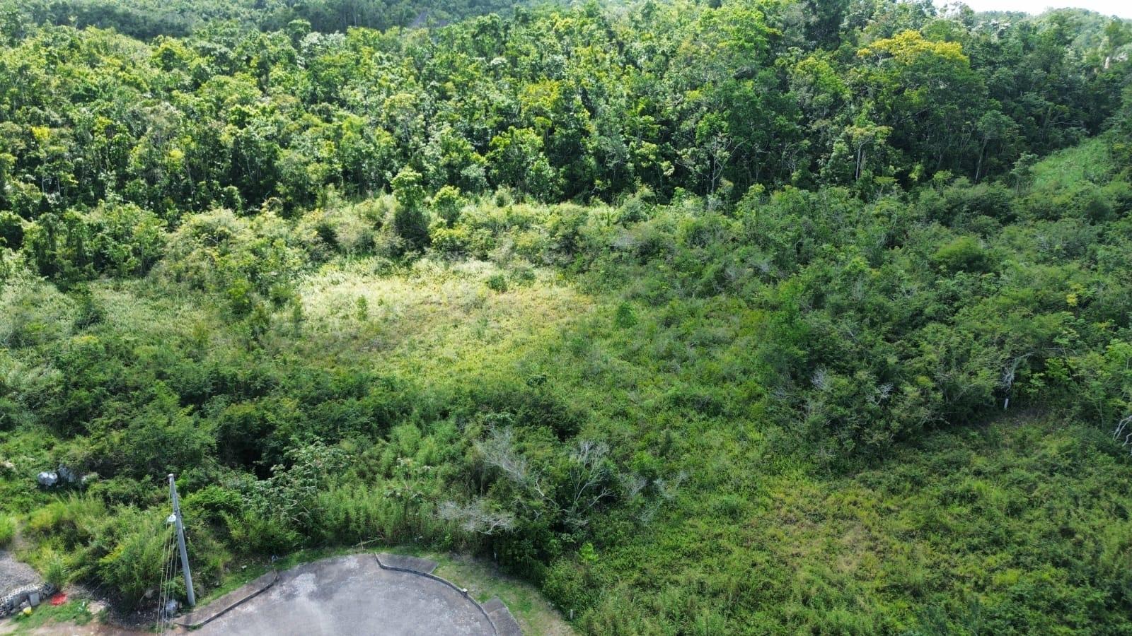 Fourth image of Moorlands Estate in Mooreland, Manchester, Jamaica - property is For Sale