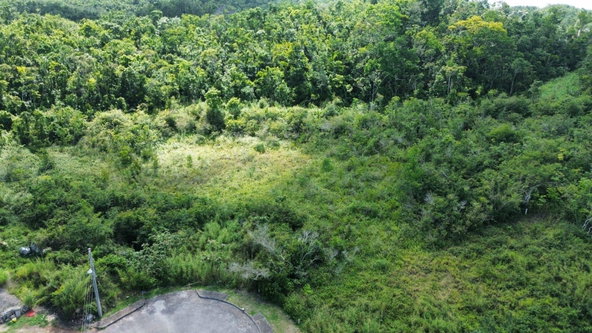 Fourth image of Moorlands Estate in Mooreland, Manchester, Jamaica - property is For Sale