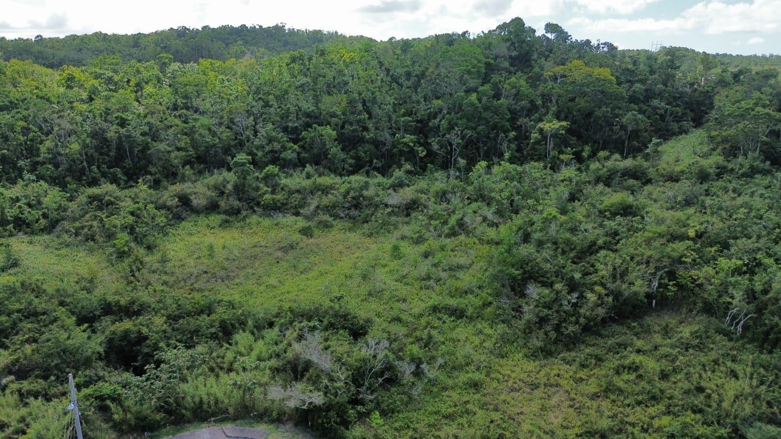 Fifth image of Moorlands Estate in Mooreland, Manchester, Jamaica - property is For Sale