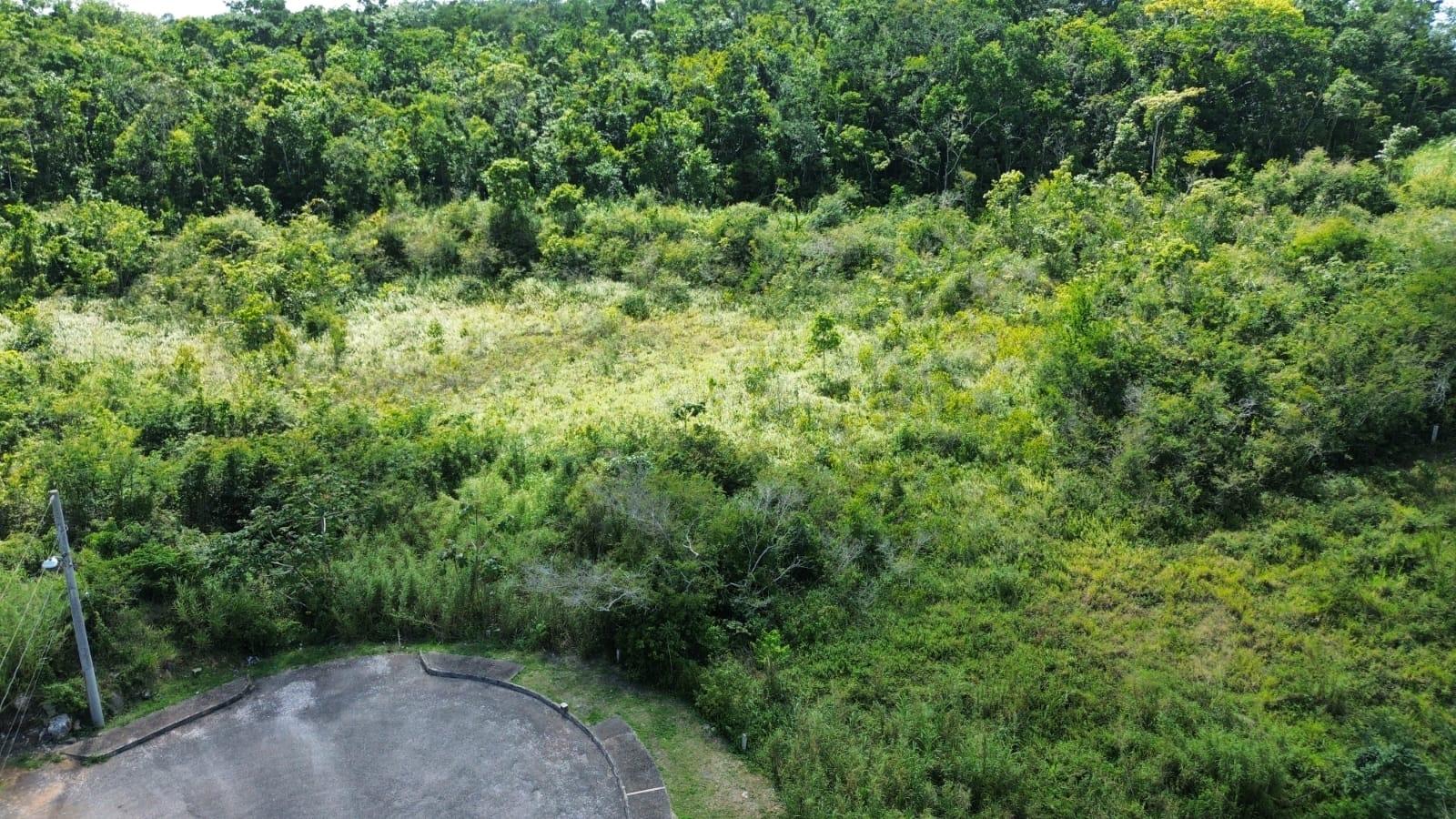 Sixth image of Moorlands Estate in Mooreland, Manchester, Jamaica - property is For Sale