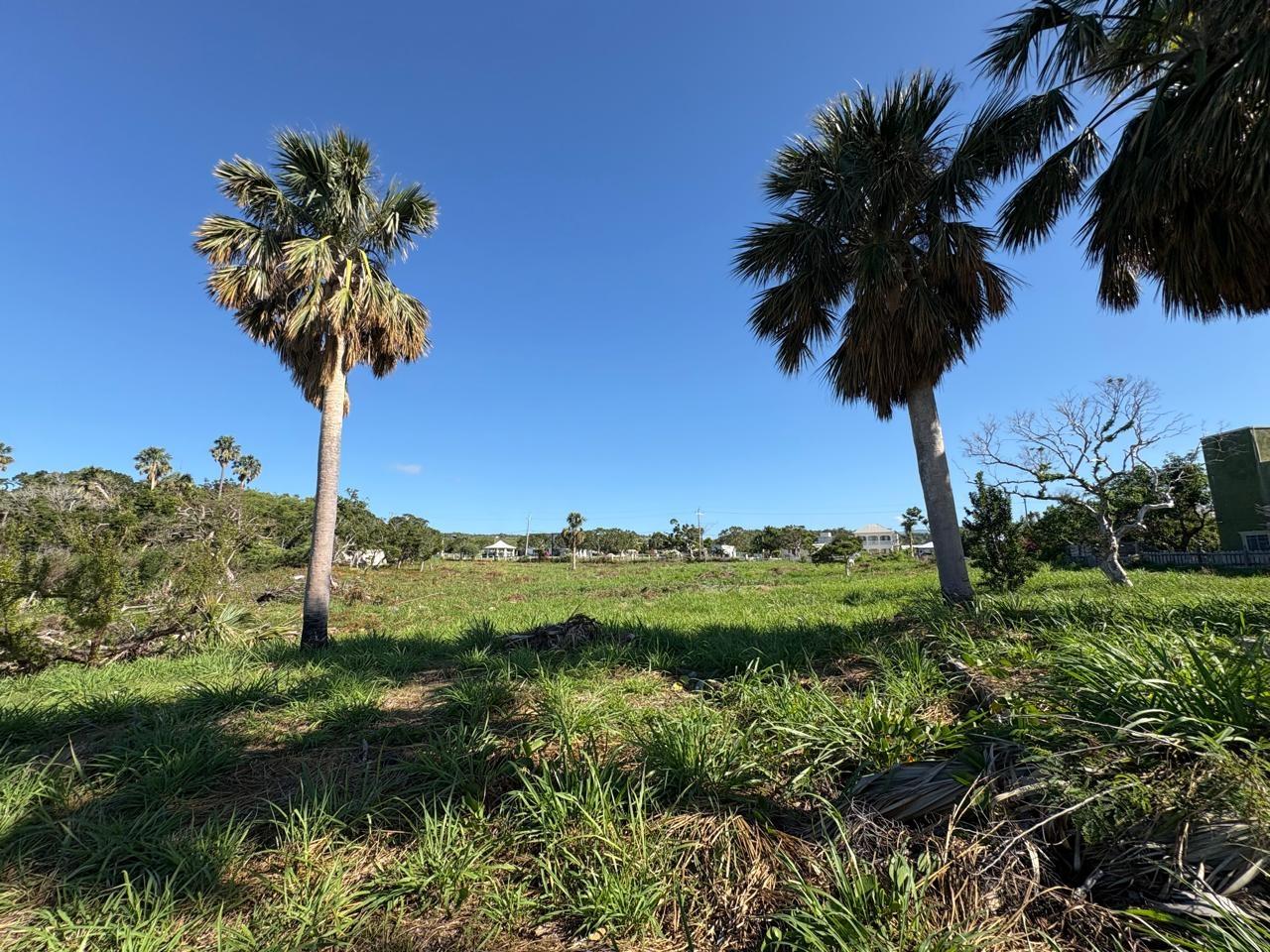 Eleventh image of Frenchmans Bay, Treasure in Treasure Beach, St. Elizabeth, Jamaica - property is For Sale