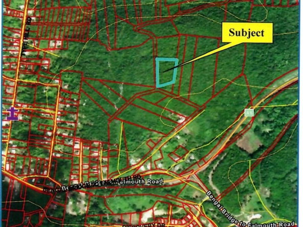Sixth image of Land Part of Clermont Dun in Duncans, Trelawny, Jamaica - property is For Sale