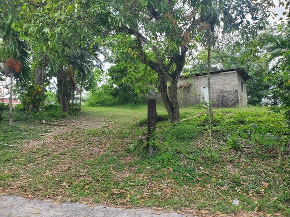 First image of Little Oxford, St. Mary in Free Hill, St. Mary, Jamaica - property is For Sale