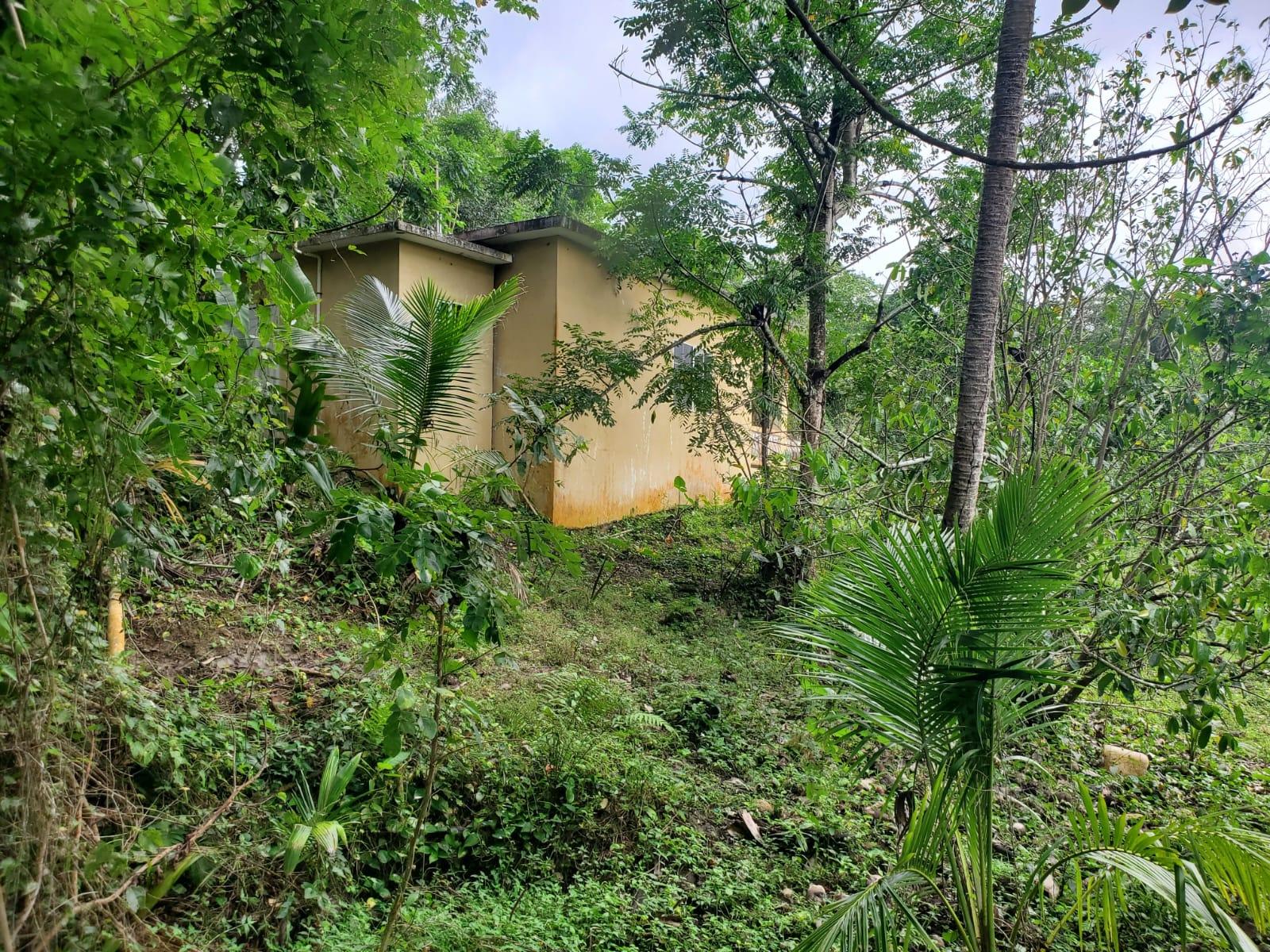 Tenth image of Little Oxford, St. Mary in Free Hill, St. Mary, Jamaica - property is For Sale