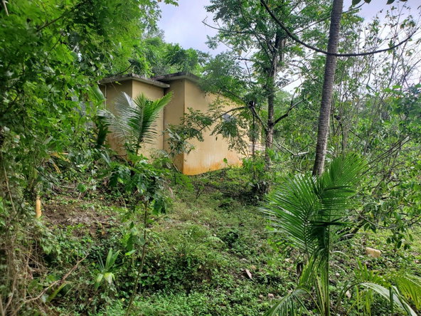 Tenth image of Little Oxford, St. Mary in Free Hill, St. Mary, Jamaica - property is For Sale
