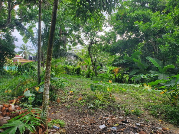 Second image of Little Oxford, St. Mary in Free Hill, St. Mary, Jamaica - property is For Sale