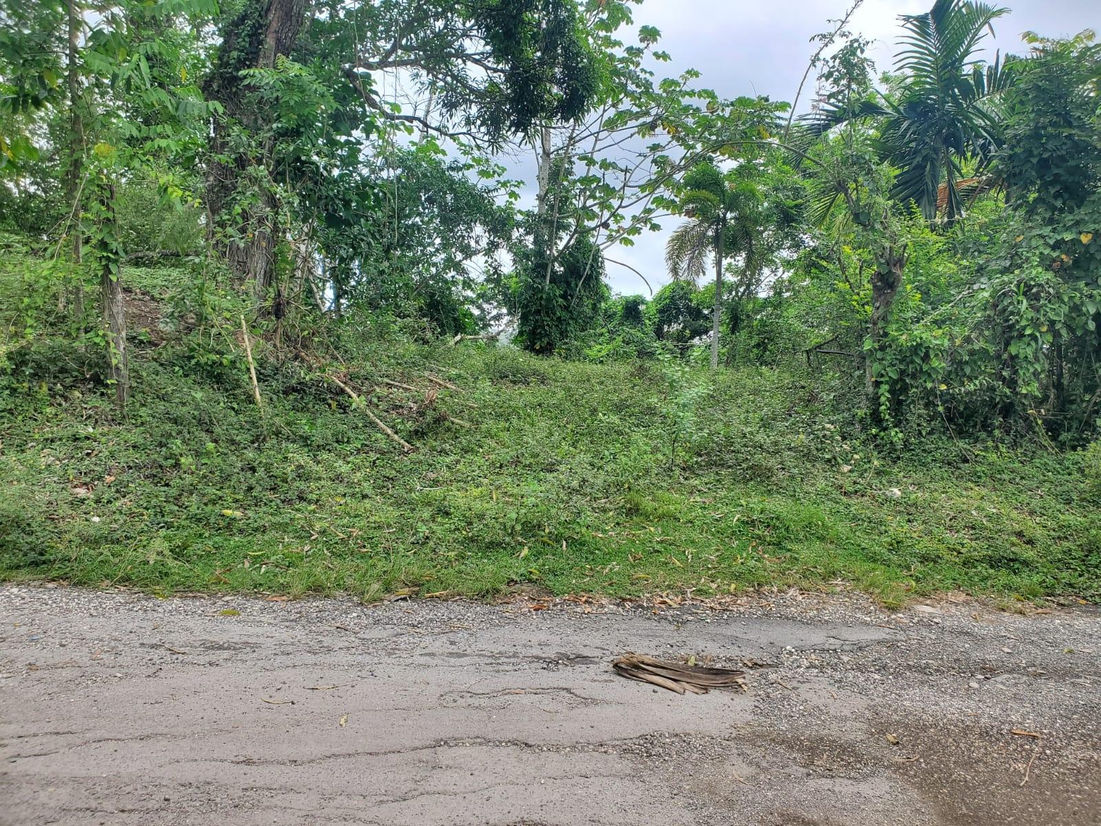 Twentieth image of Little Oxford, St. Mary in Free Hill, St. Mary, Jamaica - property is For Sale