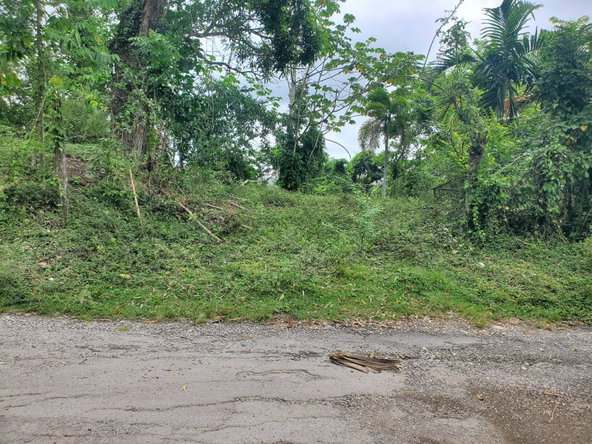 Twentieth image of Little Oxford, St. Mary in Free Hill, St. Mary, Jamaica - property is For Sale