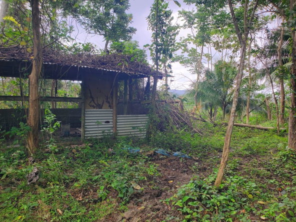 Seventh image of Little Oxford, St. Mary in Free Hill, St. Mary, Jamaica - property is For Sale