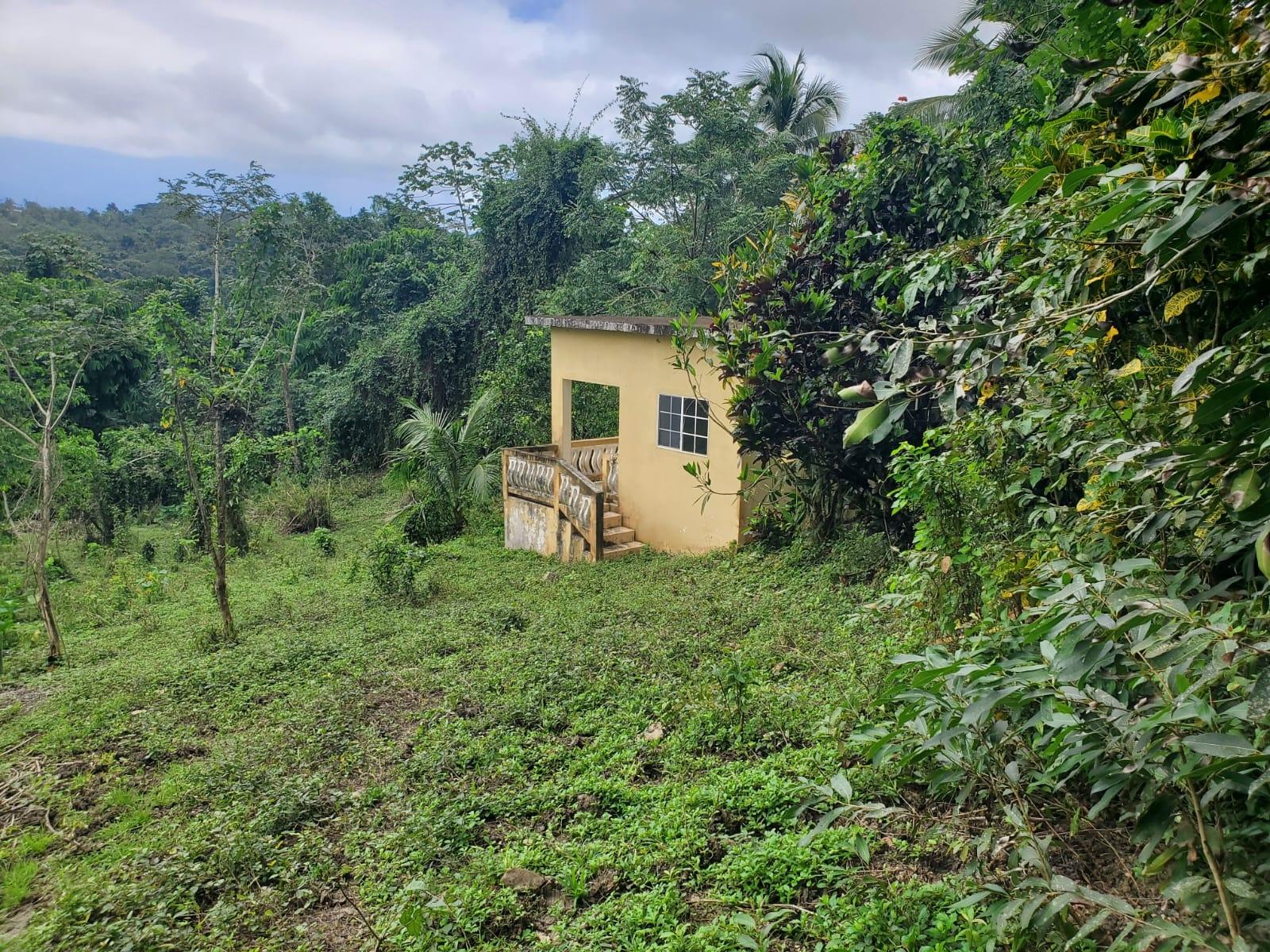 Ninth image of Little Oxford, St. Mary in Free Hill, St. Mary, Jamaica - property is For Sale