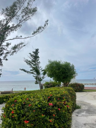 Seventeenth image of 110- Seawind on The Bay in Montego Bay, St. James, Jamaica - property is For Sale
