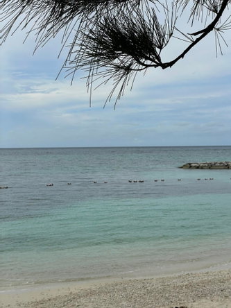 Nineteenth image of 110- Seawind on The Bay in Montego Bay, St. James, Jamaica - property is For Sale