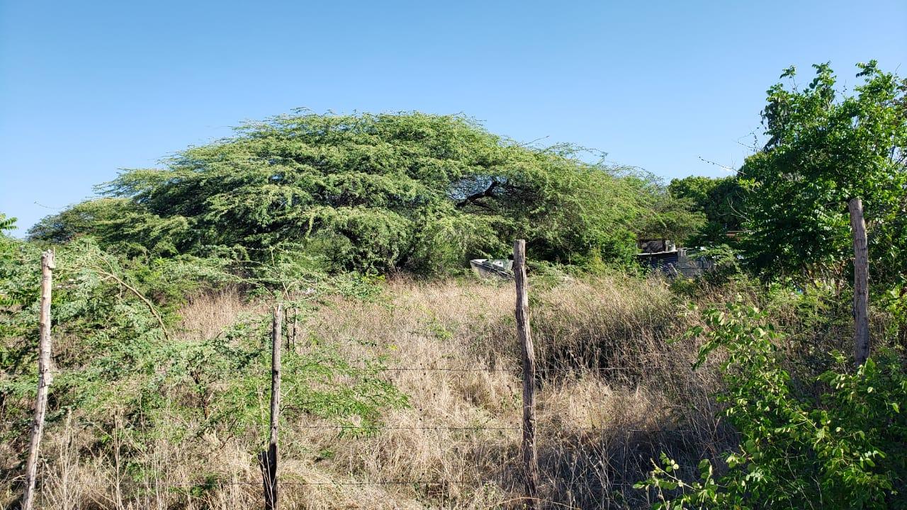 First image of Lot #20 Sandalwood,albion Estate in Bull Bay, St. Thomas, Jamaica - property is For Sale
