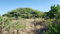 First image of Lot #20 Sandalwood,albion Estate in Bull Bay, St. Thomas, Jamaica - property is For Sale