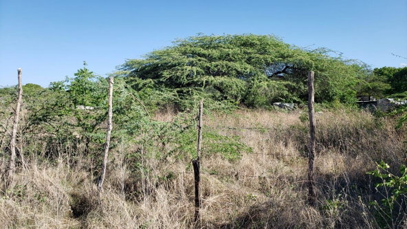 Second image of Lot #20 Sandalwood,albion Estate in Bull Bay, St. Thomas, Jamaica - property is For Sale