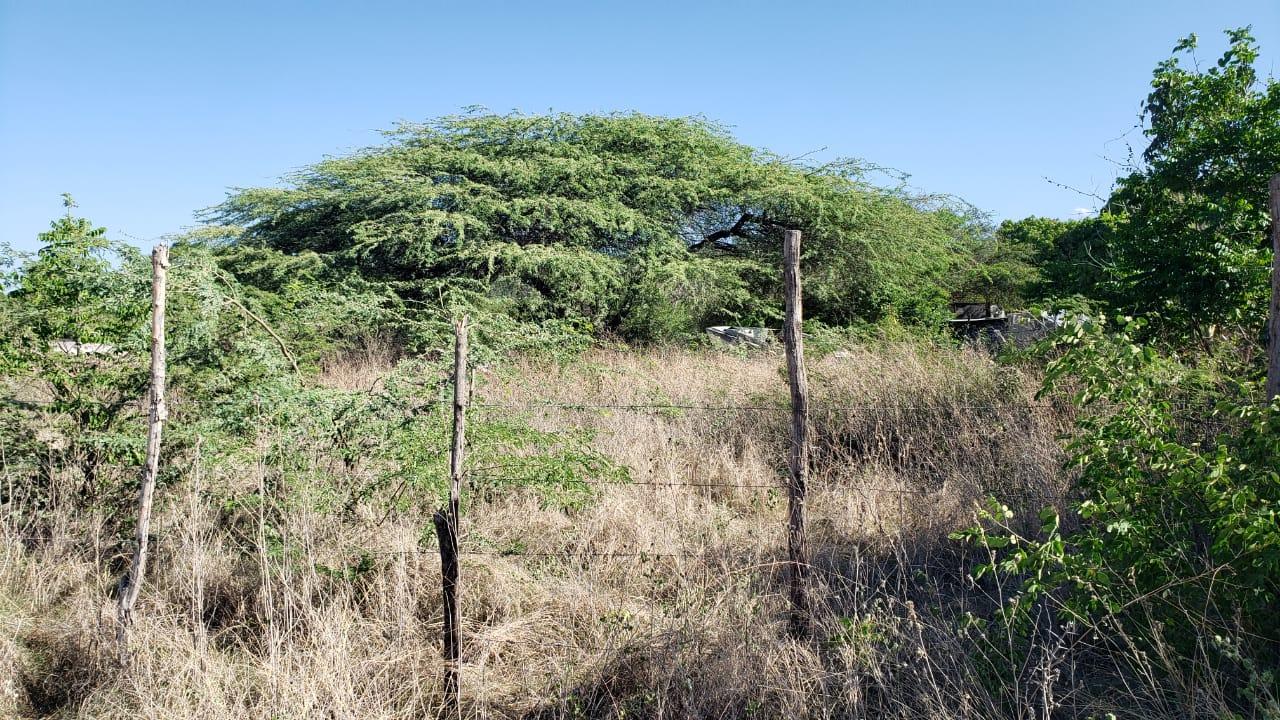 Third image of Lot #20 Sandalwood,albion Estate in Bull Bay, St. Thomas, Jamaica - property is For Sale