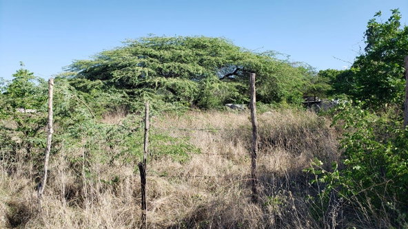 Third image of Lot #20 Sandalwood,albion Estate in Bull Bay, St. Thomas, Jamaica - property is For Sale