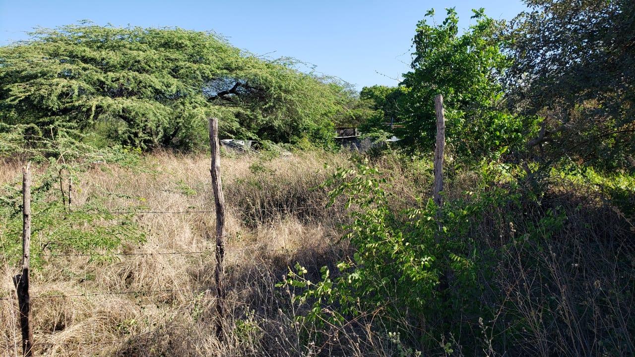 Fourth image of Lot #20 Sandalwood,albion Estate in Bull Bay, St. Thomas, Jamaica - property is For Sale