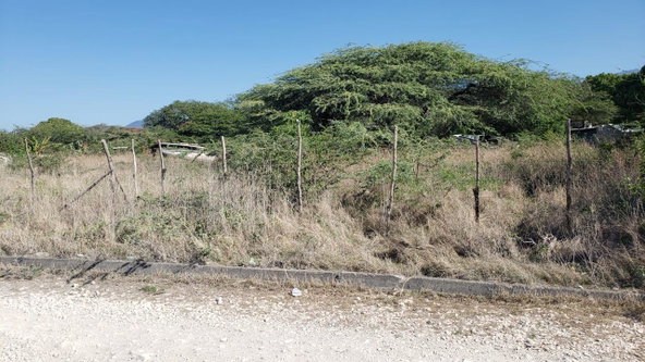 Fifth image of Lot #20 Sandalwood,albion Estate in Bull Bay, St. Thomas, Jamaica - property is For Sale