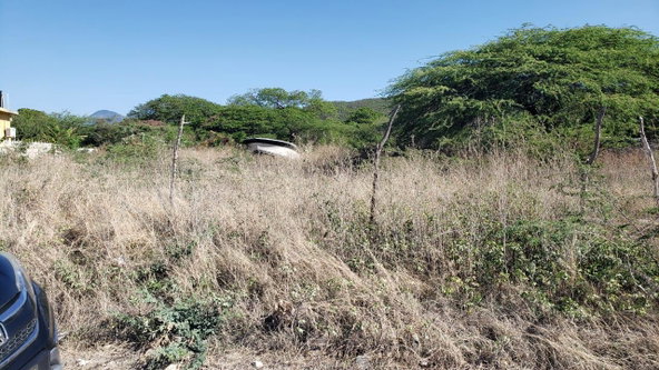 Eighth image of Lot #20 Sandalwood,albion Estate in Bull Bay, St. Thomas, Jamaica - property is For Sale