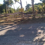 First image of Part of Islington, st Mar in Islington, St. Mary, Jamaica - property is For Sale