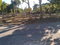 First image of Part of Islington, st Mar in Islington, St. Mary, Jamaica - property is For Sale