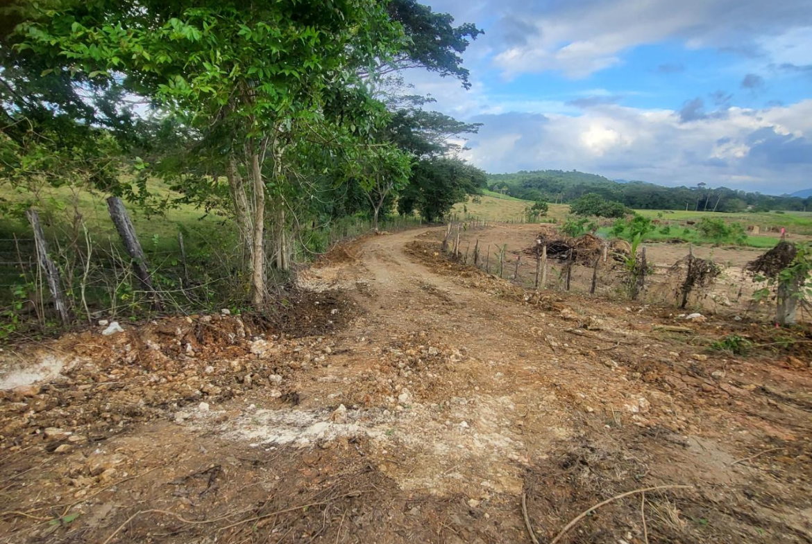 Second image of 14 Hyde in Bog Walk, St. Catherine, Jamaica - property is For Rent