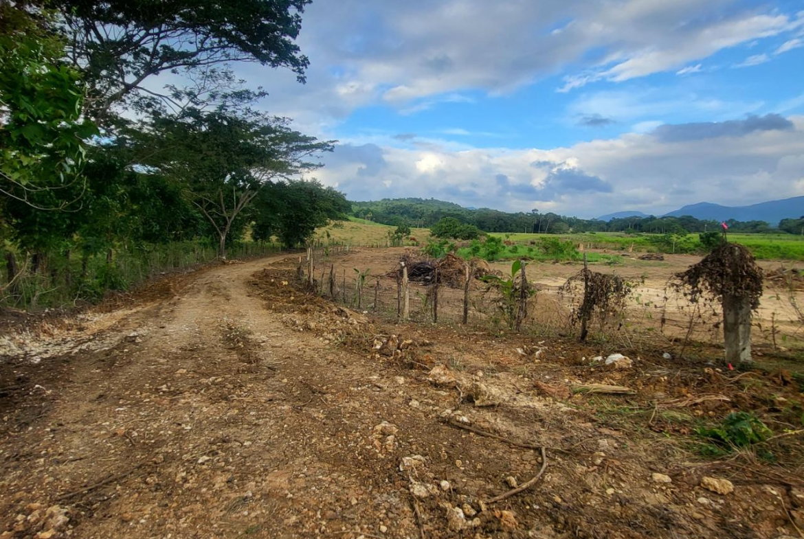 First image of 14 Hyde in Bog Walk, St. Catherine, Jamaica - property is For Rent