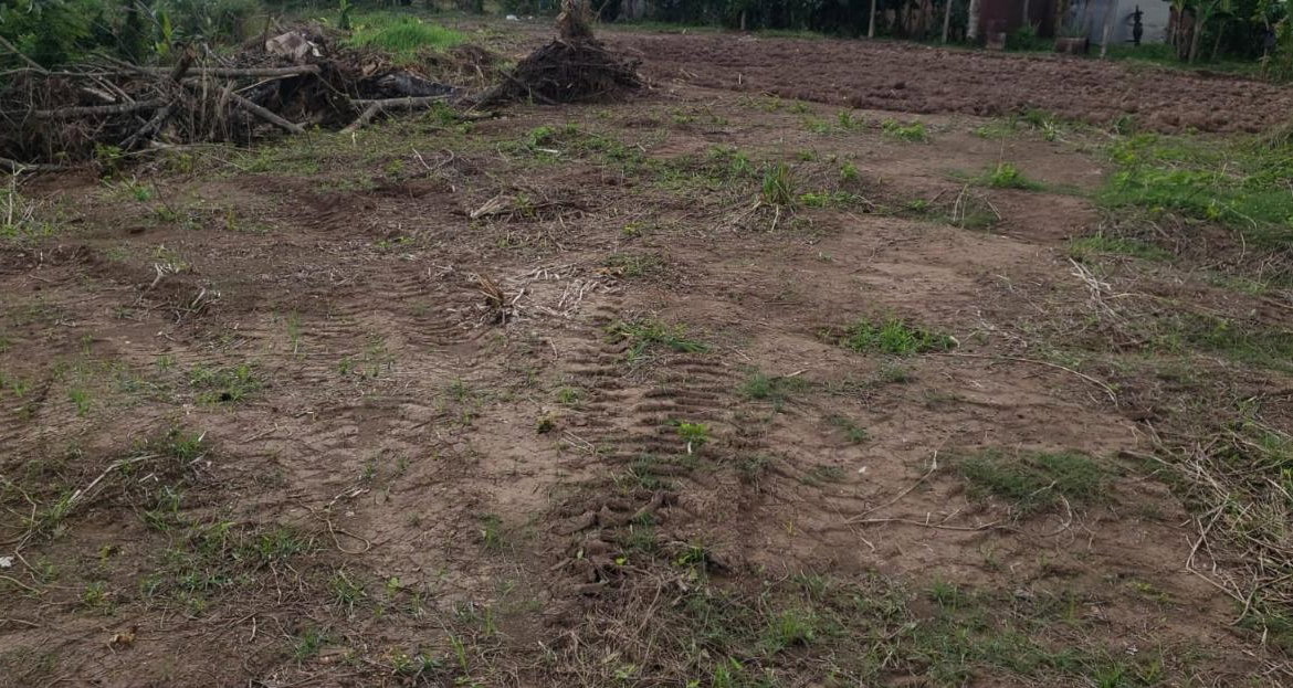 Third image of 14 Hyde in Bog Walk, St. Catherine, Jamaica - property is For Rent