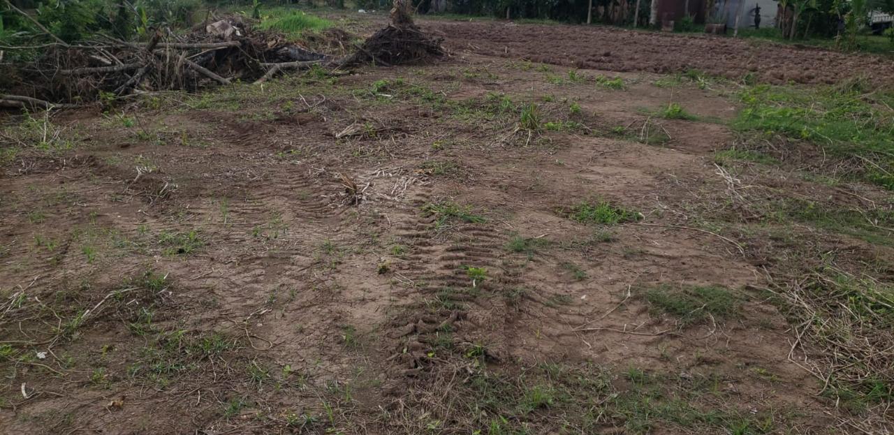 Third image of 14 Hyde in Bog Walk, St. Catherine, Jamaica - property is For Rent