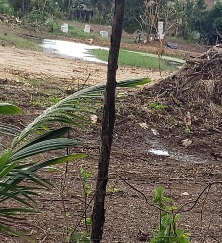 Seventh image of 14 Hyde in Bog Walk, St. Catherine, Jamaica - property is For Rent