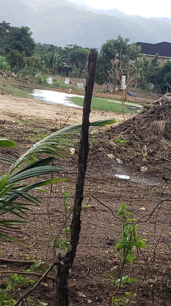 Seventh image of 14 Hyde in Bog Walk, St. Catherine, Jamaica - property is For Rent