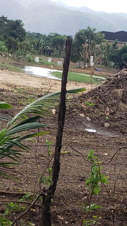 Seventh image of 14 Hyde in Bog Walk, St. Catherine, Jamaica - property is For Rent