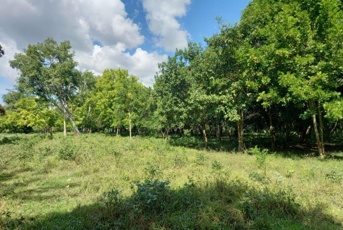 First image of Porus Manchester in Porus, Manchester, Jamaica - property is For Sale