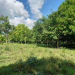 First image of Porus Manchester in Porus, Manchester, Jamaica - property is For Sale