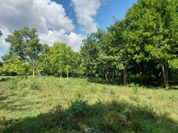 First image of Porus Manchester in Porus, Manchester, Jamaica - property is For Sale