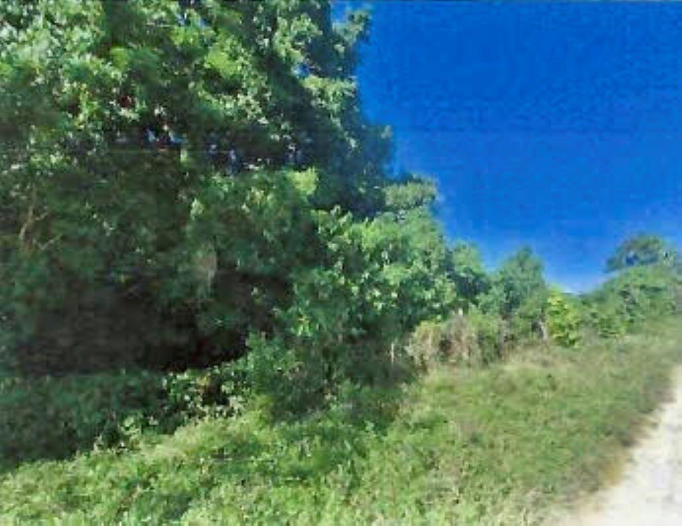 Second image of 1-arcadia Duncans, Trelawny in Arcadia Pen, Trelawny, Jamaica - property is For Sale