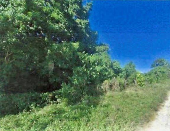 Second image of 1-arcadia Duncans, Trelawny in Arcadia Pen, Trelawny, Jamaica - property is For Sale