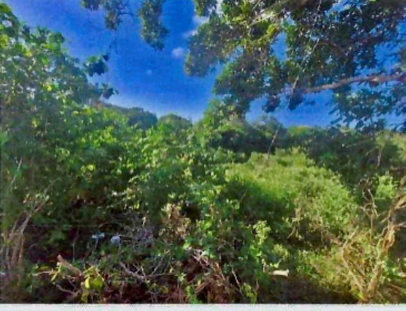Fourth image of 1-arcadia Duncans, Trelawny in Arcadia Pen, Trelawny, Jamaica - property is For Sale