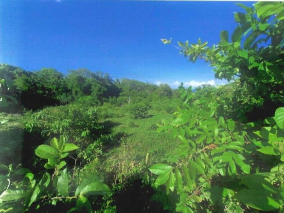 First image of 1-arcadia Duncans, Trelawny in Arcadia Pen, Trelawny, Jamaica - property is For Sale