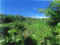 First image of 1-arcadia Duncans, Trelawny in Arcadia Pen, Trelawny, Jamaica - property is For Sale
