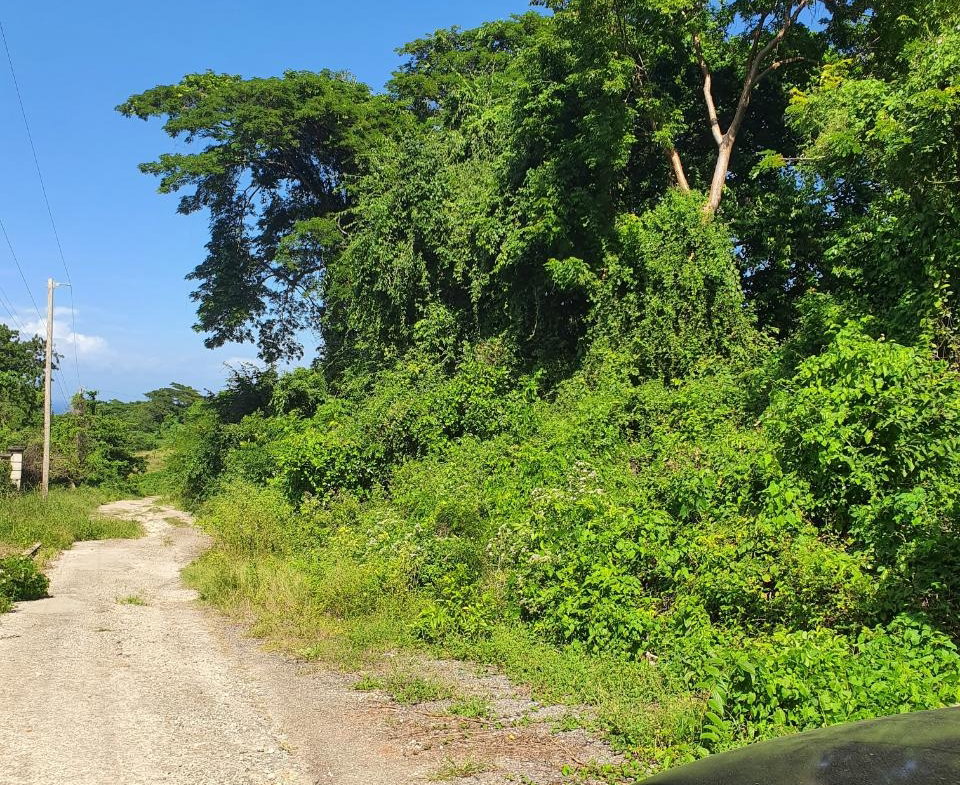 Second image of 177 Cardiff Hall, st Ann in Runaway Bay, St. Ann, Jamaica - property is For Sale