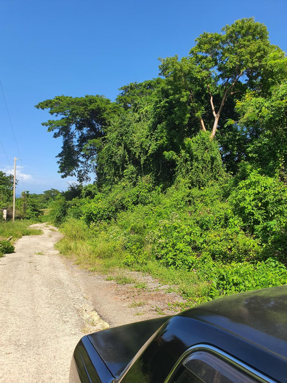 Second image of 177 Cardiff Hall, st Ann in Runaway Bay, St. Ann, Jamaica - property is For Sale