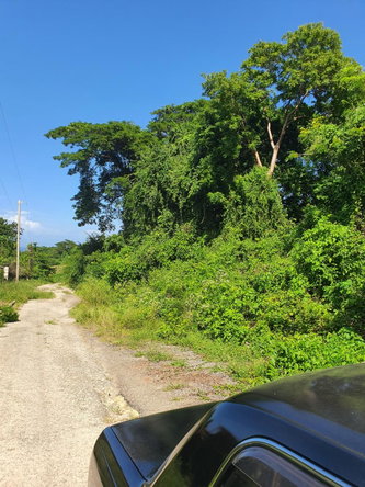 Second image of 177 Cardiff Hall, st Ann in Runaway Bay, St. Ann, Jamaica - property is For Sale