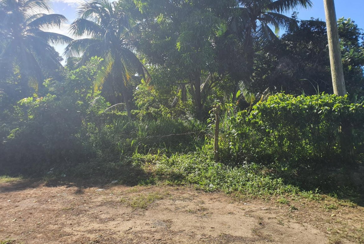 First image of 177 Cardiff Hall, st Ann in Runaway Bay, St. Ann, Jamaica - property is For Sale