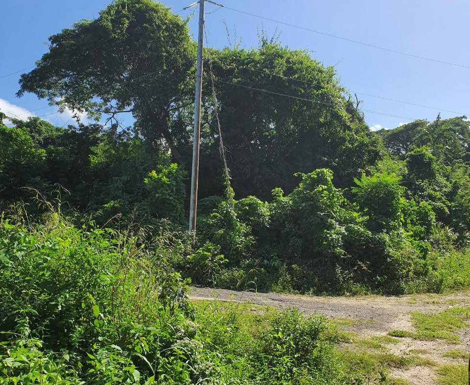 Fourth image of 177 Cardiff Hall, st Ann in Runaway Bay, St. Ann, Jamaica - property is For Sale